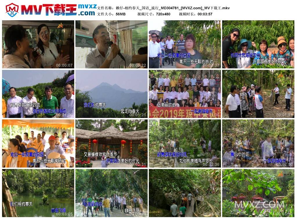 赖仔-相约春天_国语_流行_MD304781